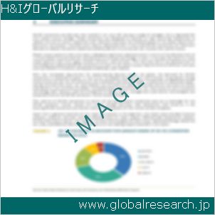 グローバルリサーチ調査レポートのイメージ